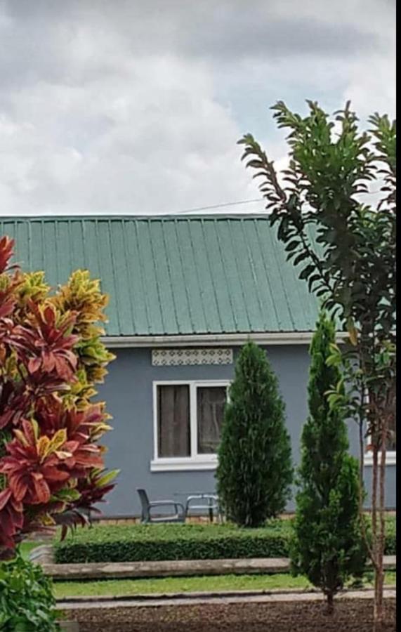 Migingo Suites عنتيبي المظهر الخارجي الصورة